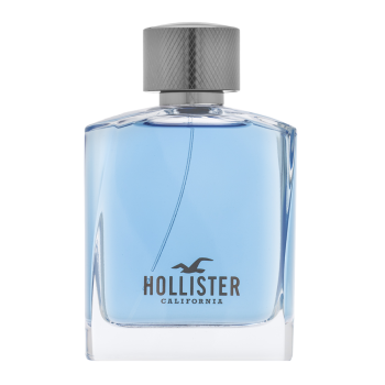 Hollister Wave For Him