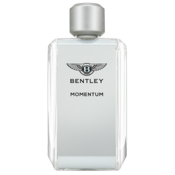 Bentley Momentum EDT M 100 ml Tester