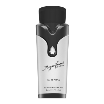 Armaf Magnificent Pour Homme