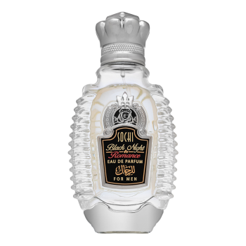 Shaik Sochi Black Night Romance