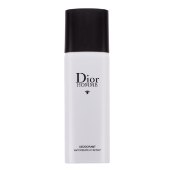 Dior Dior Homme DSR