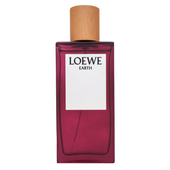 Loewe Earth