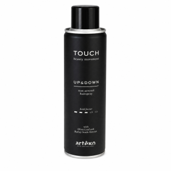 Artègo Touch Up and Down Non-Aerosol Hairspray