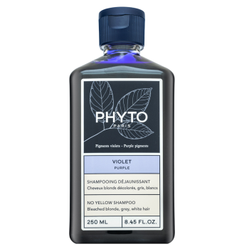 Phyto Purple No Yellow Shampoo