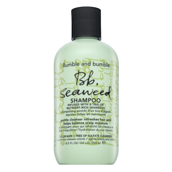 Bumble And Bumble BB Seaweed Shampoo