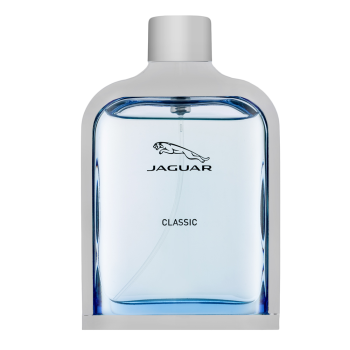 Jaguar New Classic