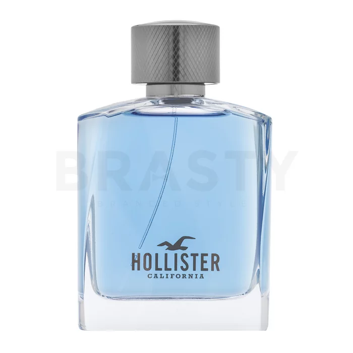 Hollister Wave For Him