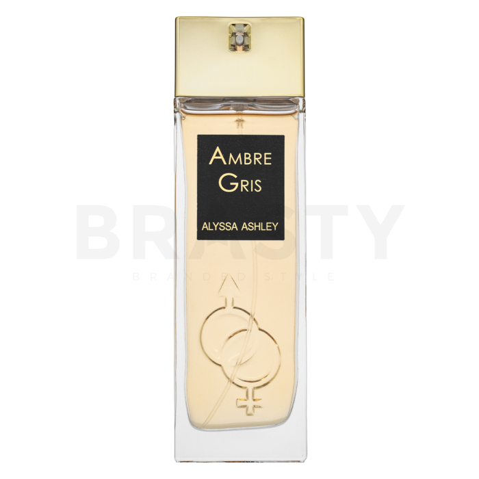 Alyssa Ashley Ambre Gris