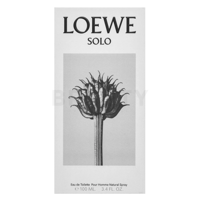 Loewe Solo Loewe Pour Homme