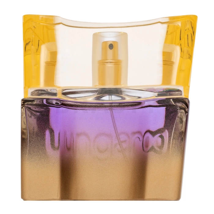 Emanuel Ungaro Ungaro