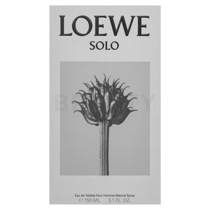 Loewe Solo Loewe Pour Homme