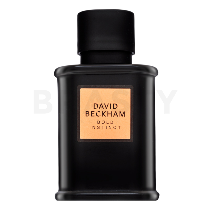 David Beckham Bold Instinct