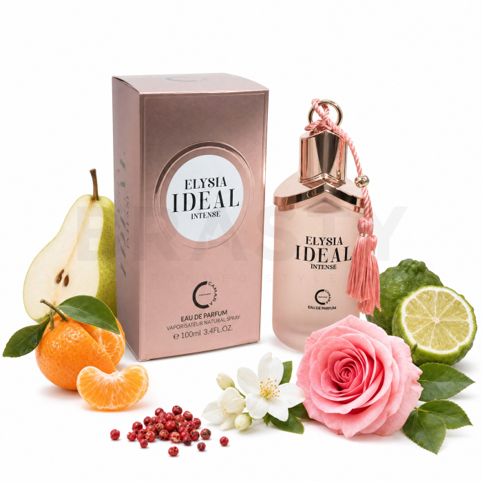 Camara Elysia Ideal Intense