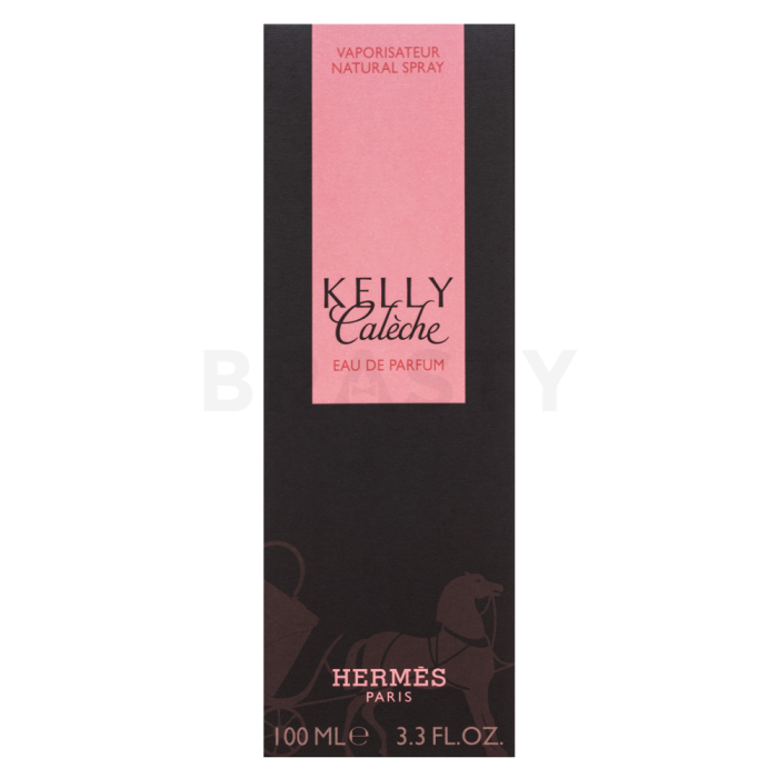 Hermès Hermes Kelly Caleche