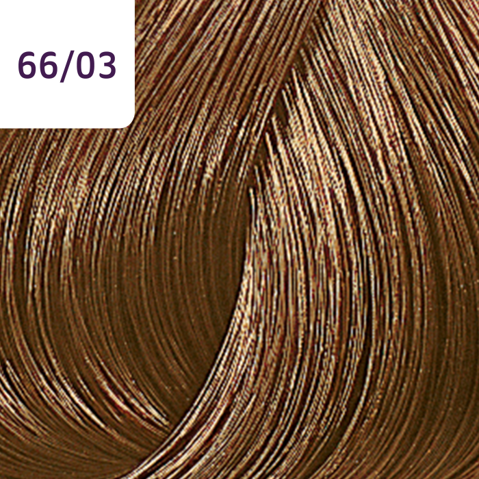 Wella Professionals Color Touch Plus 66/03
