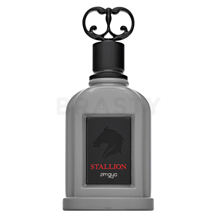 Zimaya Stallion