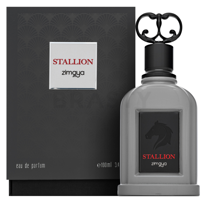 Zimaya Stallion