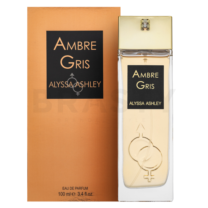 Alyssa Ashley Ambre Gris