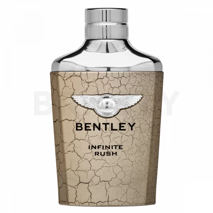 Bentley Infinite Rush