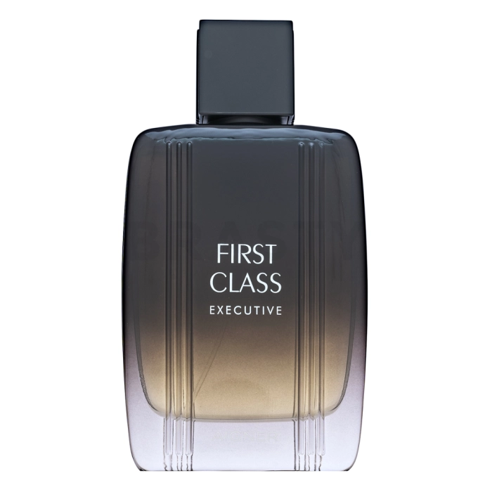 Aigner First Class Executive